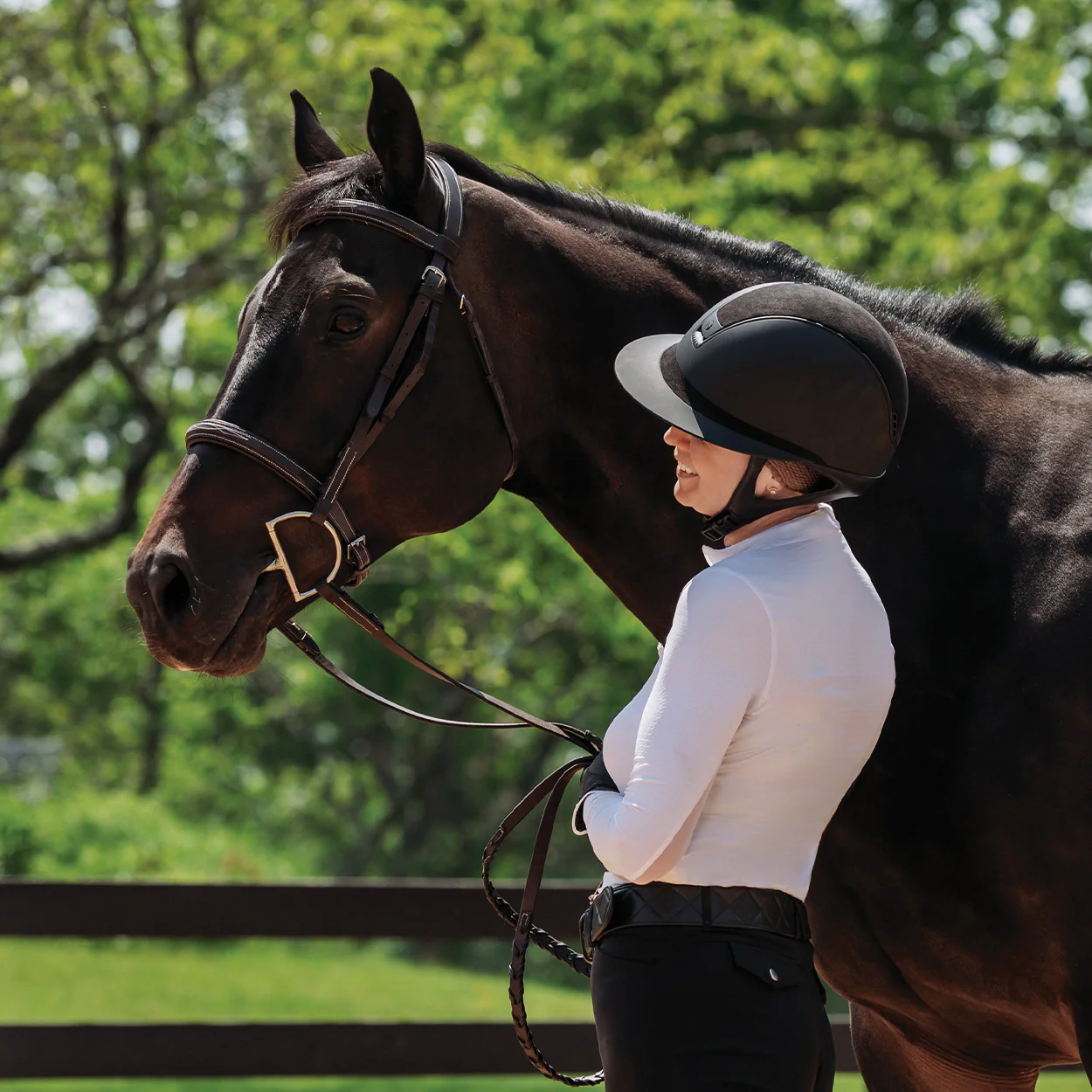 Excellence for Horse and Rider